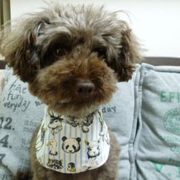 kunkunさんの作品