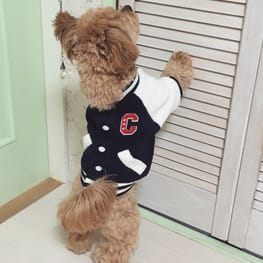 さちかさんの作品