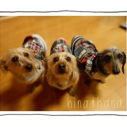 ひなはなさんの作品