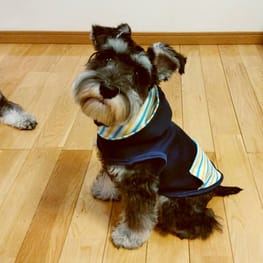 Lea&Miaさんの作品