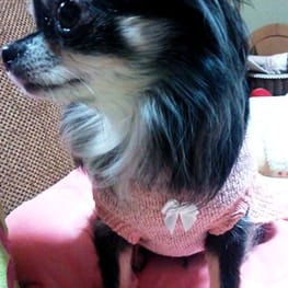 はなぴょんさんの作品