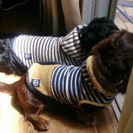 moka-zuさんの作品