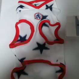 けんけんさんの作品