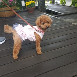 あみっちぃ。さんの作品