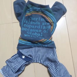 LEO之助さんの作品