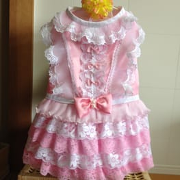 らくすさんの作品