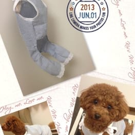 yuccoさんの作品