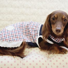 mamehanasoraさんの作品