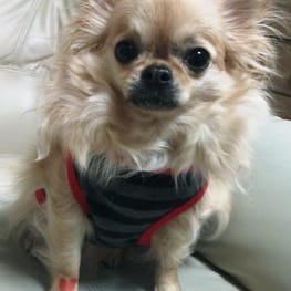 coco-waさんの作品