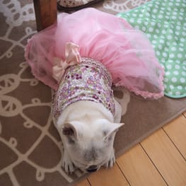 げんこつママさんの作品