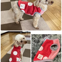 ココママさんの作品