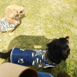 モコさんの作品