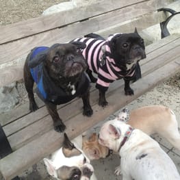 Peasnatchさんの作品