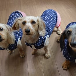 ひなはなさんの作品