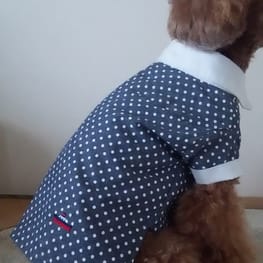 マーロンmamaさんの作品