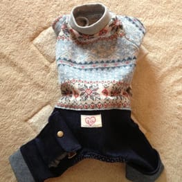 ちえぞうさんの作品