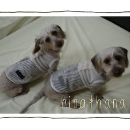 ひなはなさんの作品