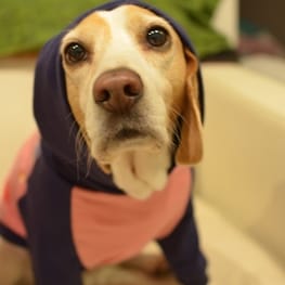 locomiさんの作品