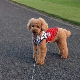 かんれいさんの作品