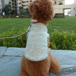 カペルさんの作品