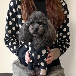 ちゃちゃさんの作品