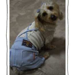 ひなはなさんの作品