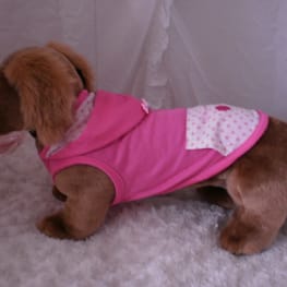 usakorinさんの作品