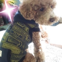 ちょここさんの作品