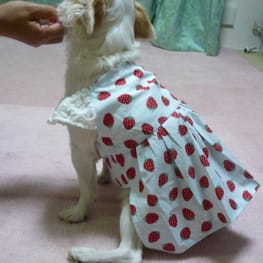 並子さんの作品