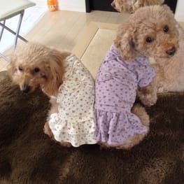 blancoさんの作品