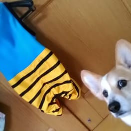 にゃん太さんの作品