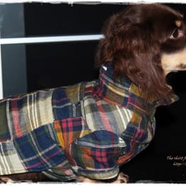 akizoo88さんの作品