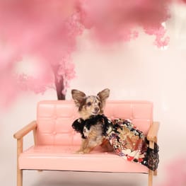 モコさんの作品