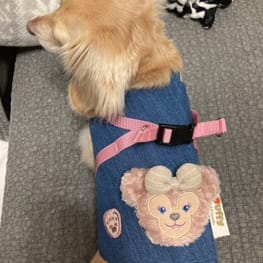 犬服ハンドメイド　立体ラビットファー　確認用 犬服ハンドメイド立体ラビットファー確認用