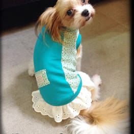 Dwarfさんの作品