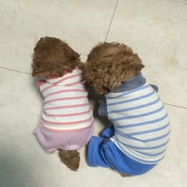 ひまわりさんの作品