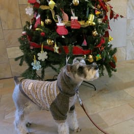 kuuminさんの作品