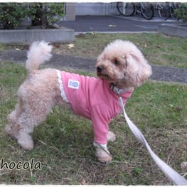 chikoさんの作品