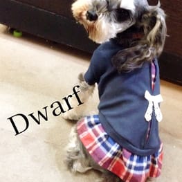 Dwarfさんの作品