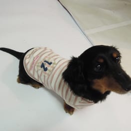 ライさんの作品