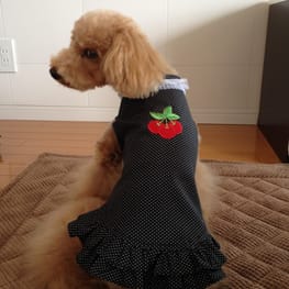 らくすさんの作品