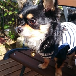 にゃるさんの作品