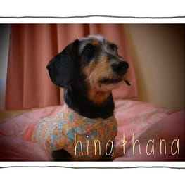 ひなはなさんの作品