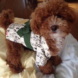 テンビビさんの作品