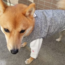 ナツ色さんの作品