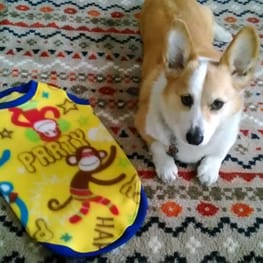 にゃん太さんの作品