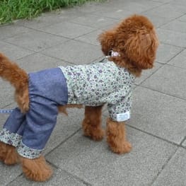 カペルさんの作品