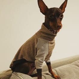 ちょこくろさんの作品