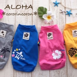 roncoさんの作品