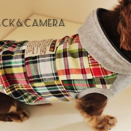 akizoo88さんの作品